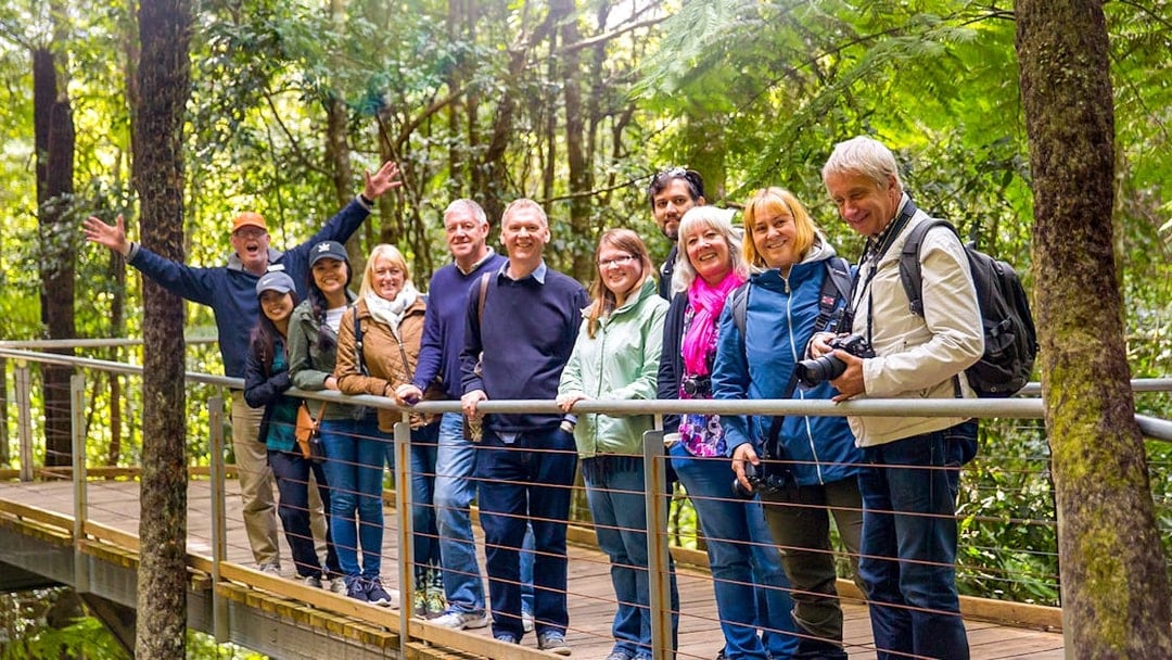 Tour group on the Boardwalk at Scenic World, Blue Mountains, surrounded by lush forest.