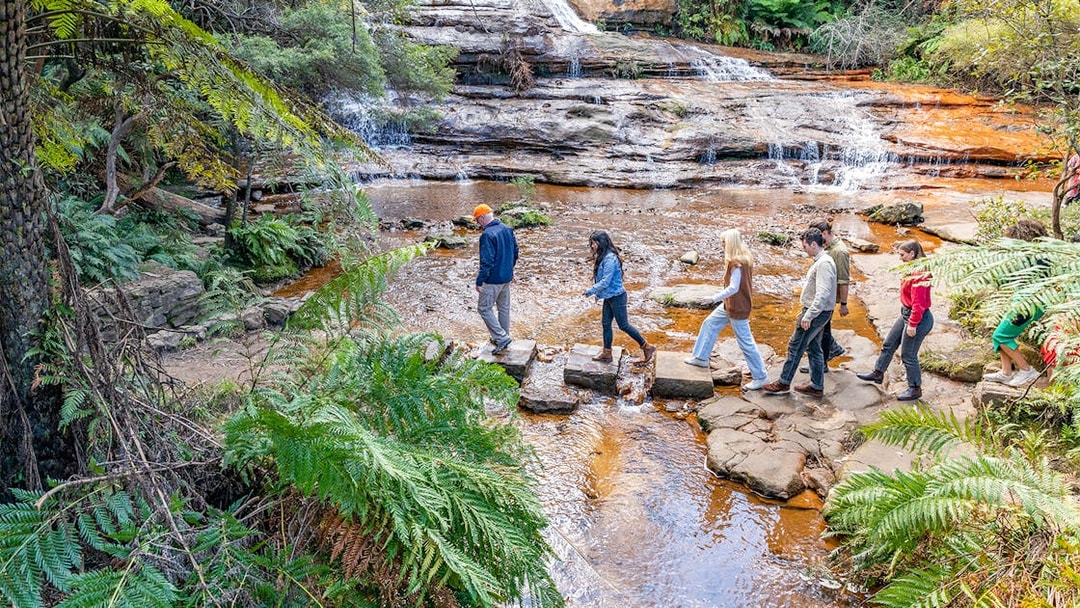 People crossing a stream on stepping stones during Blue Mountains tour.