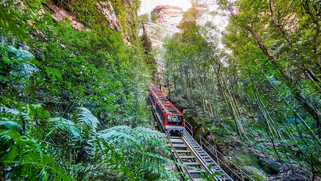 Scenic railway ascending through lush forest at Scenic World, Blue Mountains.