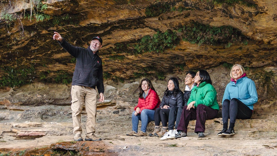 Tour guide pointing out features to a group on a rainforest trail.