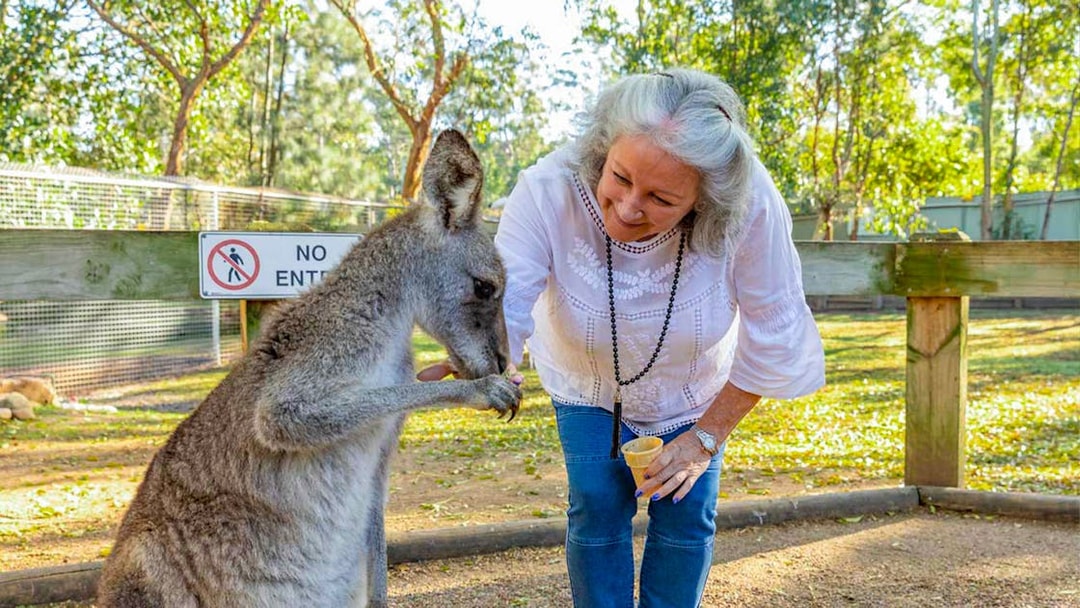 Feeding kangaroo at Featherdale Wildlife Park during Blue Mountains Tour.