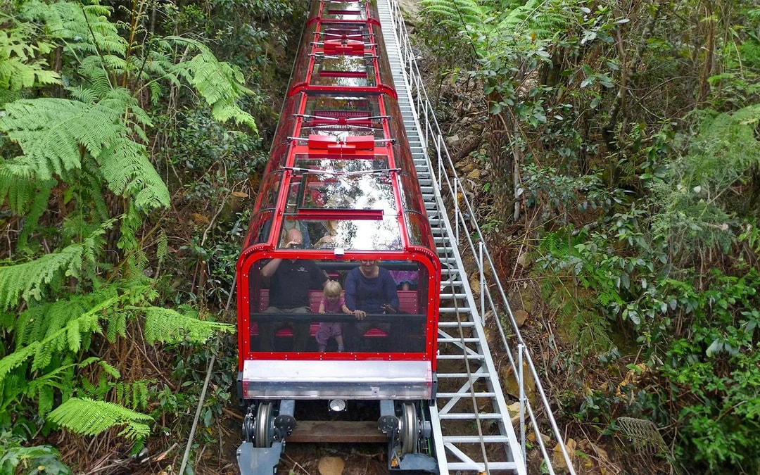 Blue Mountains Tour: Scenic World, Featherdale Wildlife Park & Harbour Ferry Return Image 11