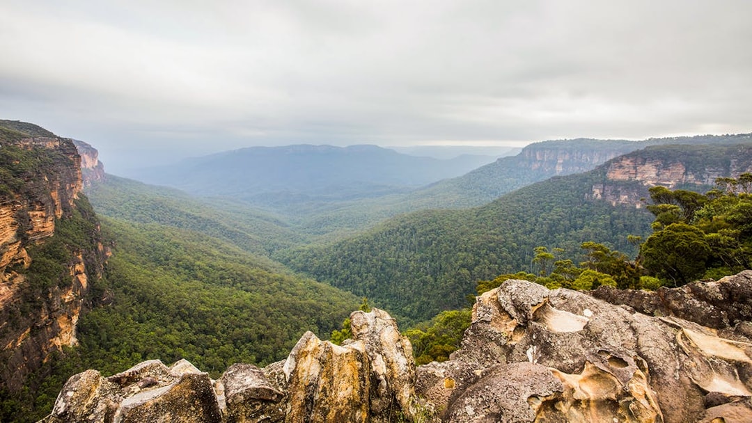 Jamison Valley and Blue Mountains National Park scenic view with cliffs and forest.