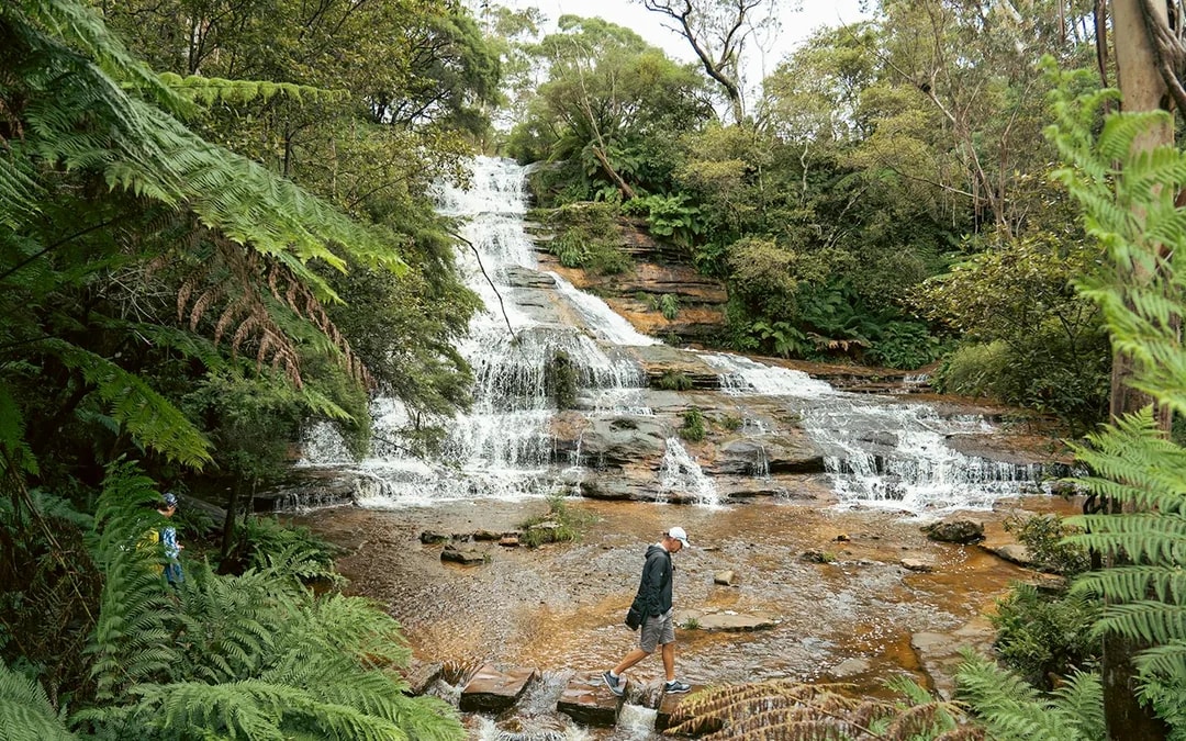 Blue Mountains Adventure Tour: Scenic World, Sydney Zoo, Koala Photo & Harbour Ferry Return Image 7