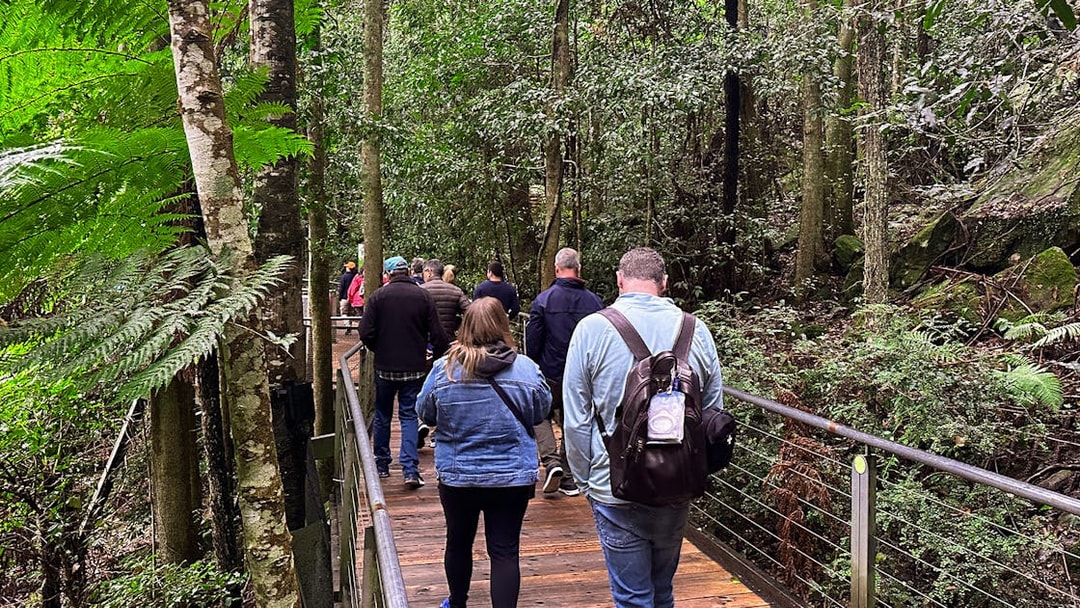 Visitors walking on a boardwalk through lush forest in Blue Mountains, Australia.