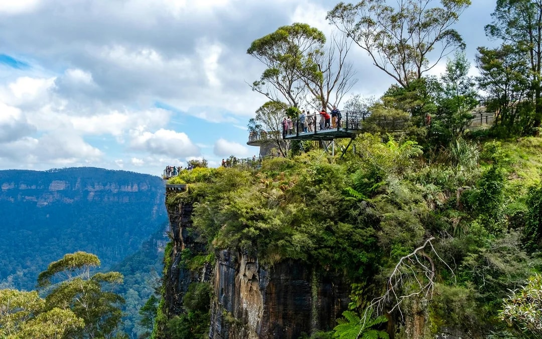 Blue Mountains Adventure Tour: Scenic World, Sydney Zoo, Koala Photo & Harbour Ferry Return Image 8