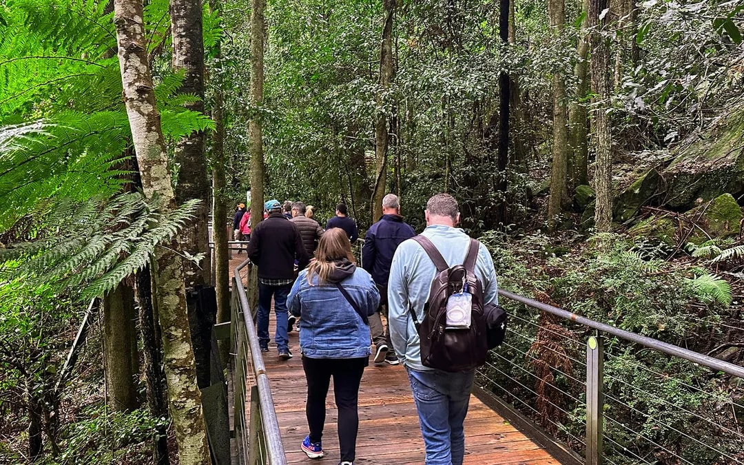 Blue Mountains Adventure Tour: Scenic World, Sydney Zoo, Koala Photo & Harbour Ferry Return Image 9