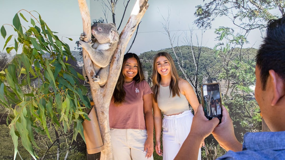 Visitors posing with a koala at a zoo in the Blue Mountains.