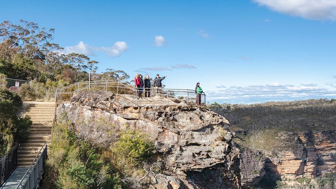 Tour group with guide at Blue Mountains viewpoint, overlooking scenic cliffs and forest.