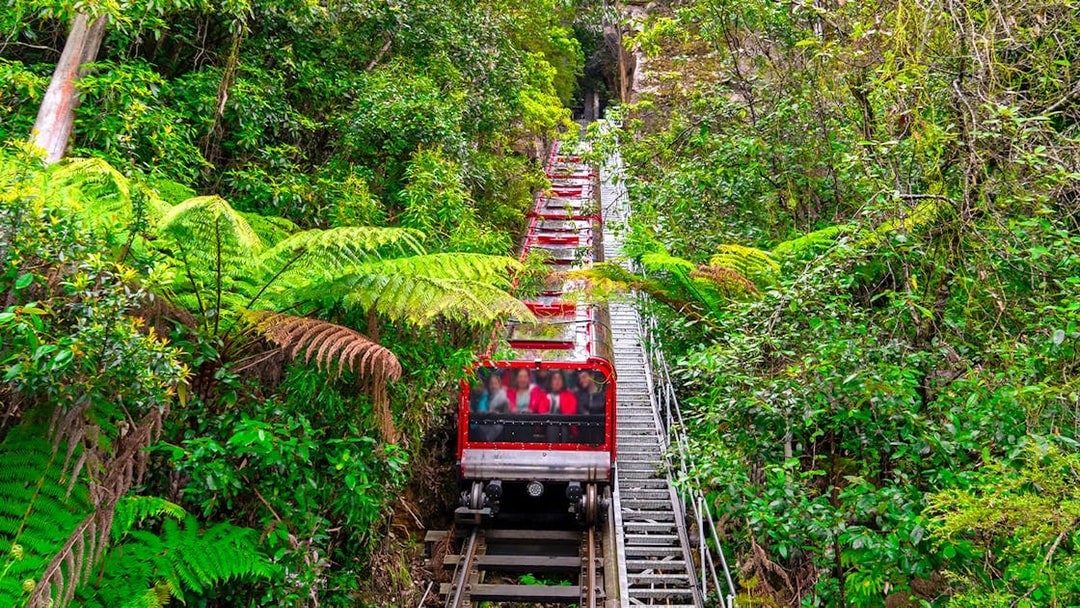 Railway ride through lush forest in Blue Mountains, Sydney.