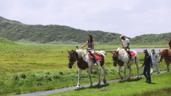 Kyushu Day Tour: Takachiho Gorge Boat Ride, Aso Volcano & Kusasenri (Optional Cruise & Lunch)