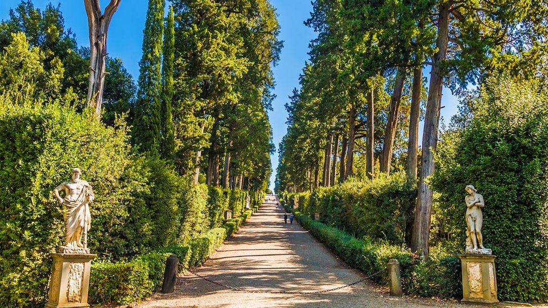 Pathway lined with statues and tall trees in Boboli Gardens, Florence.