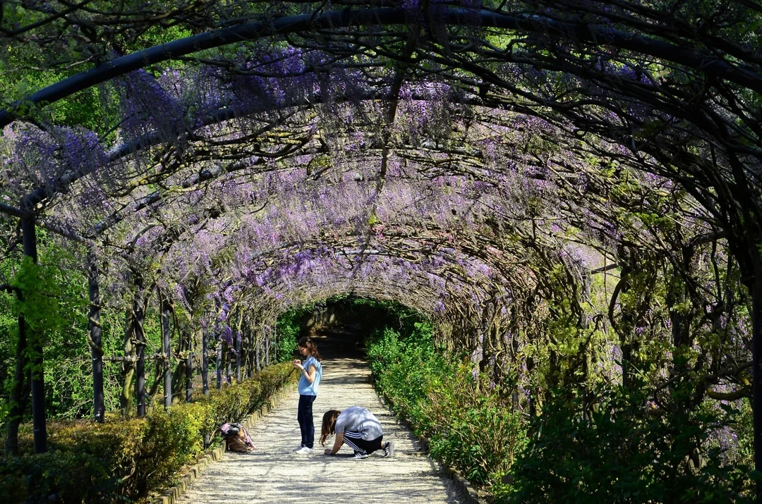 Boboli Gardens Guided Tour Image 8