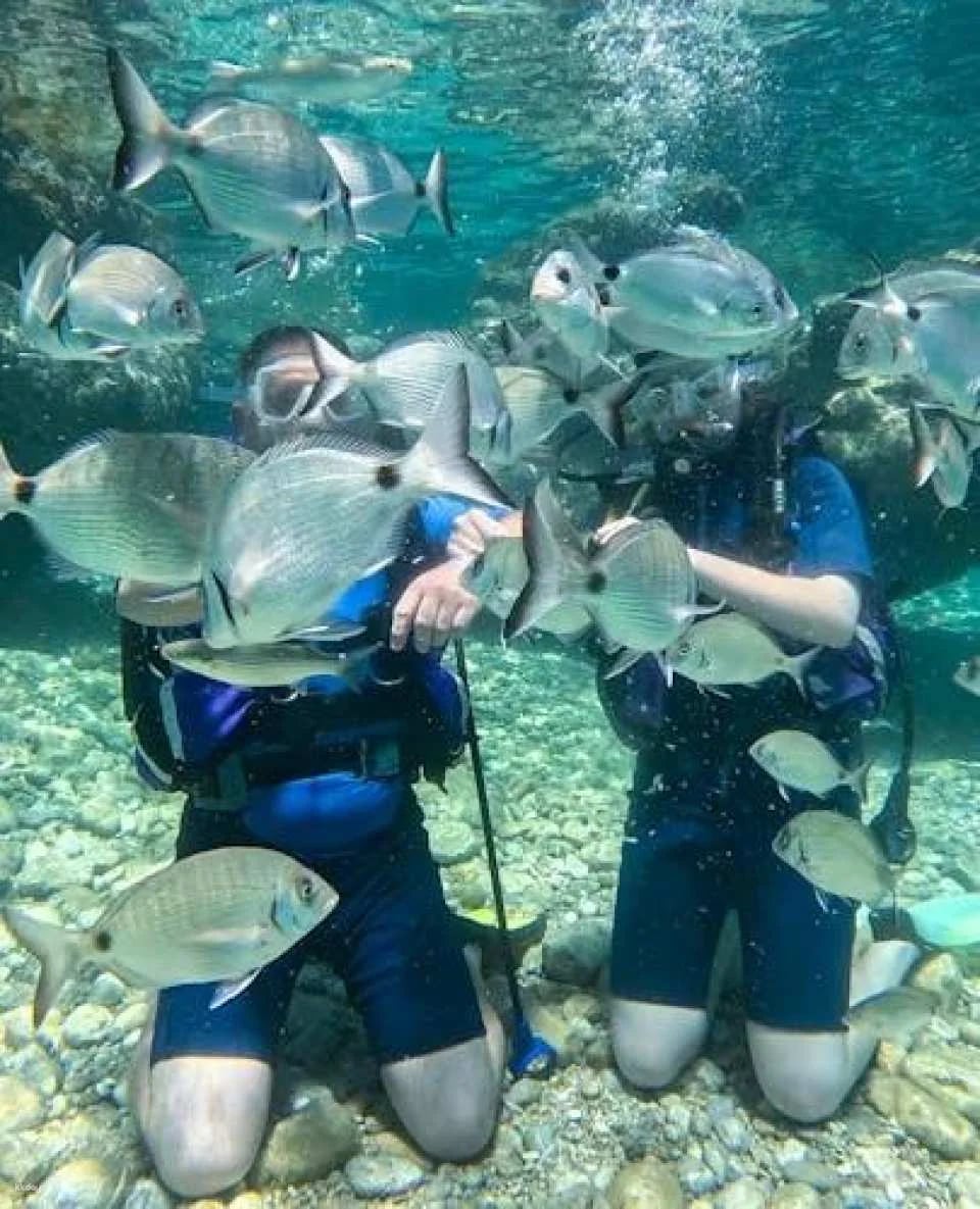 Bodrum scuba diving