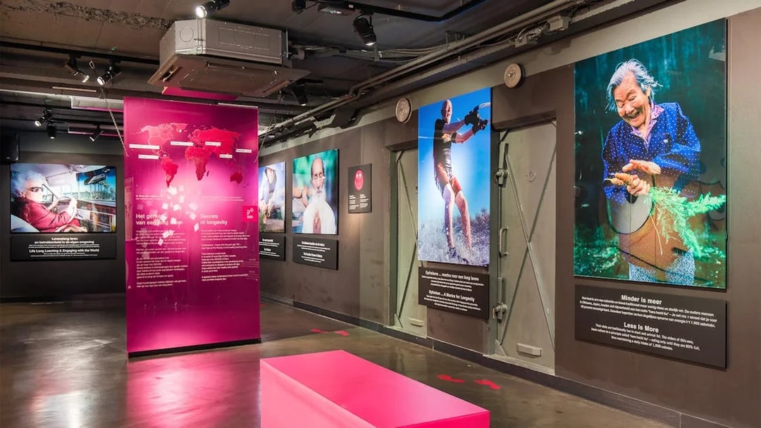Exhibit at Body Worlds Amsterdam showcasing the Secrets of Longevity.