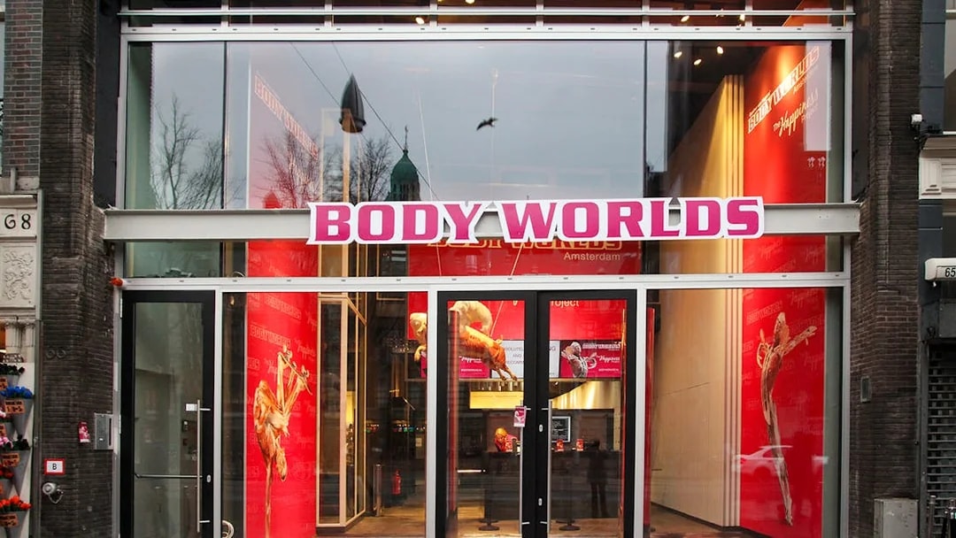 Body Worlds Amsterdam entrance with red interior displays.