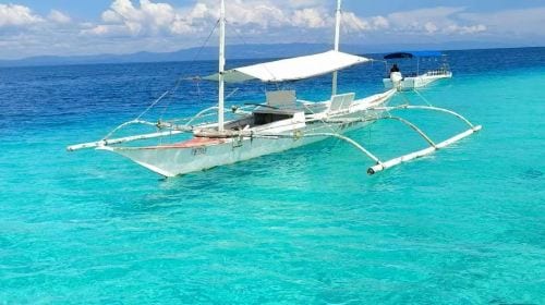 Dolphin Watching + Pamilacan Island Snorkeling Day Tour in Bohol Island, Philippines|round-trip transfer|Independent vehicles and boats Day Tours