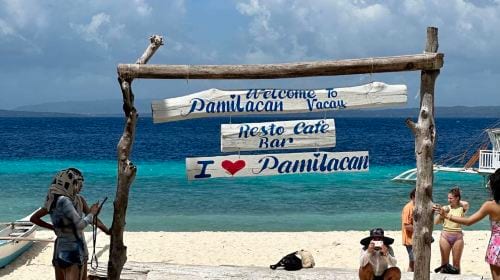 Dolphin Watching + Pamilacan Island Snorkeling Day Tour in Bohol Island, Philippines|round-trip transfer|Independent vehicles and boats Day Tours