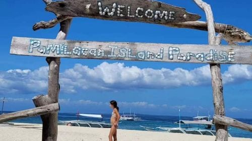 Dolphin Watching + Pamilacan Island Snorkeling Day Tour in Bohol Island, Philippines|round-trip transfer|Independent vehicles and boats Day Tours