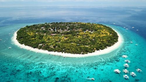 Bohol island hopping dolphin watching + Balicasag Island snorkeling + sardine run snorkeling|round-trip transfer Day Tours