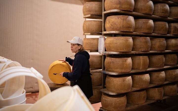 Bologna Food Valley: Factory tasting, Wines & traditional Lu Image 4