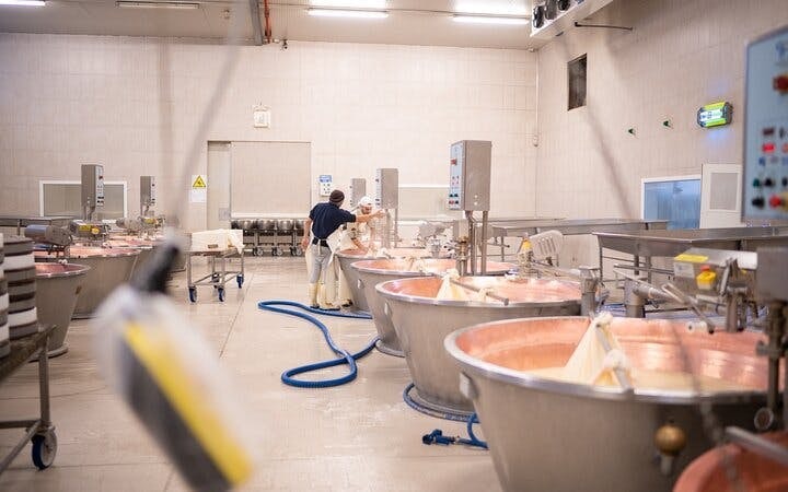 Bologna Food Valley: Factory tasting, Wines & traditional Lu Image 6