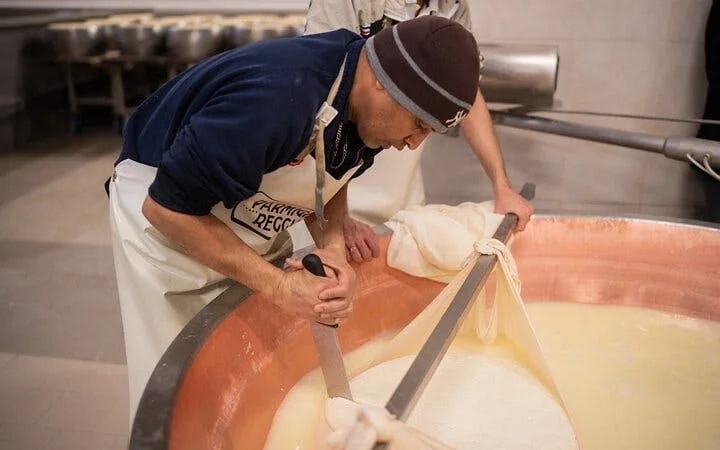 Bologna Food Valley: Factory tasting, Wines & traditional Lu Image 7