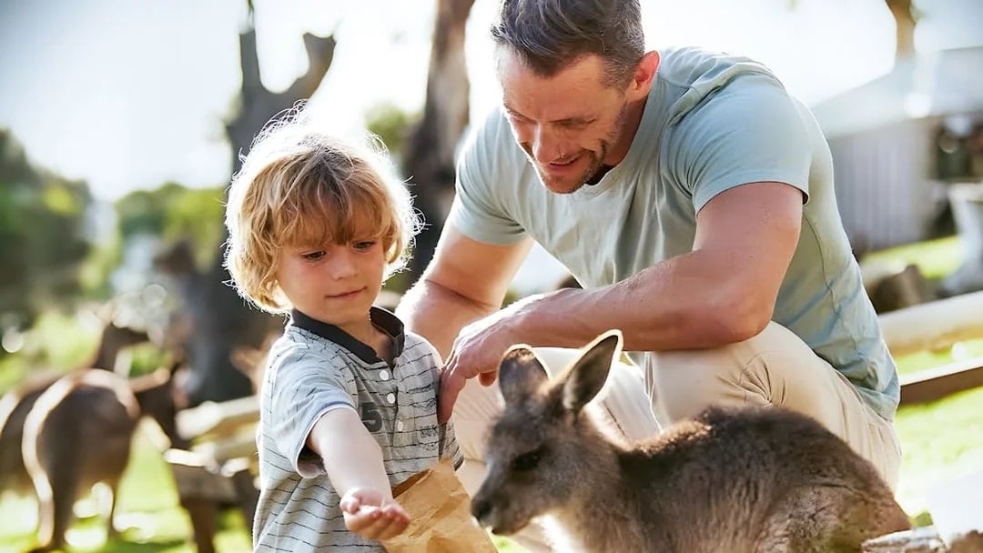 Bonorong Wildlife Sanctuary Tickets, Hobart