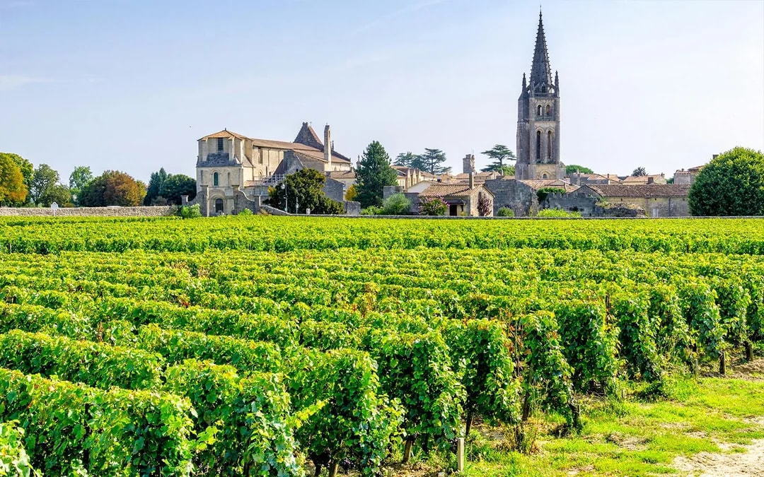 From Bordeaux: Saint-Émilion Full-Day Guided Tour with Lunch Image 9
