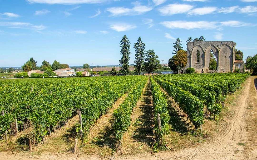 From Bordeaux: Saint-Émilion Full-Day Guided Tour with Lunch Image 10