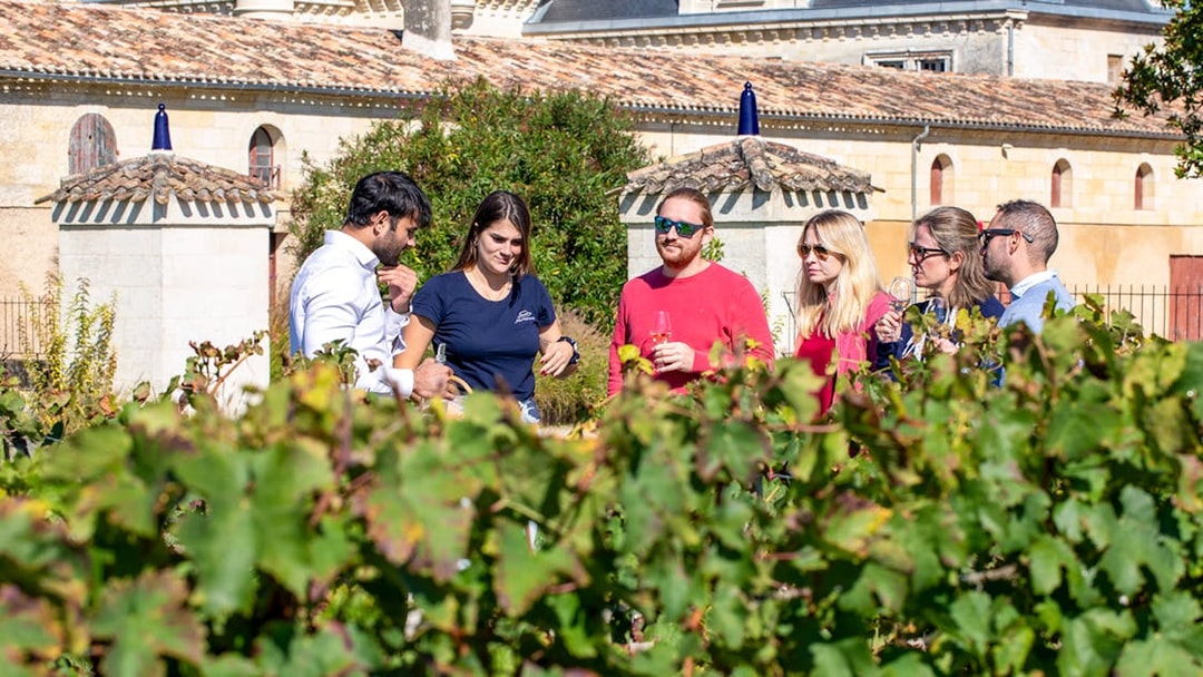 Tour group enjoying wine tasting in Saint-Emilion vineyard.