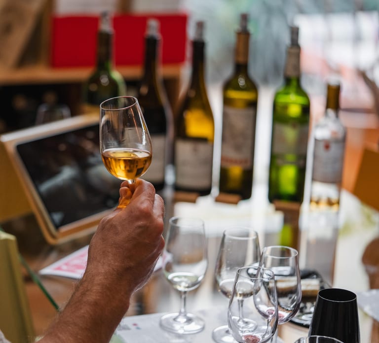 Guided Bordeaux Wine Tasting Class with 6 Wines and pairings
