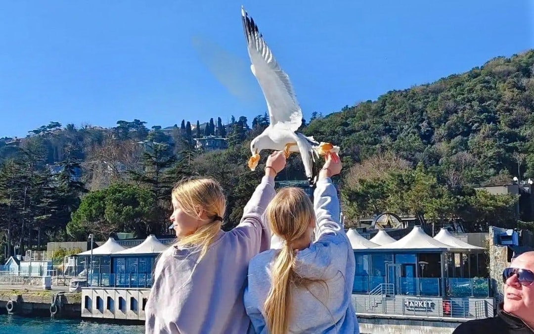 Bosphorus Private Cruise on Luxury Yacht Image 7
