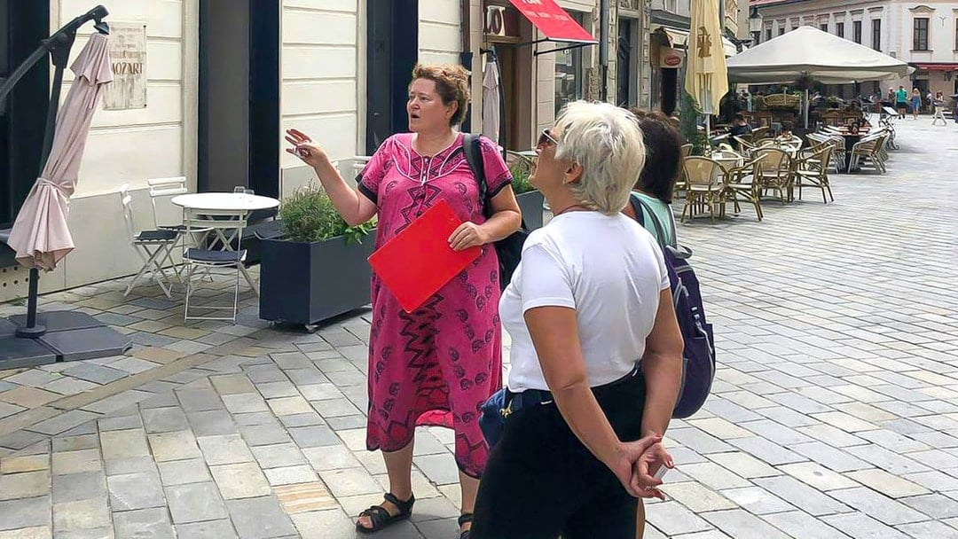Bratislava Guided Walking Tour with Castle Entry