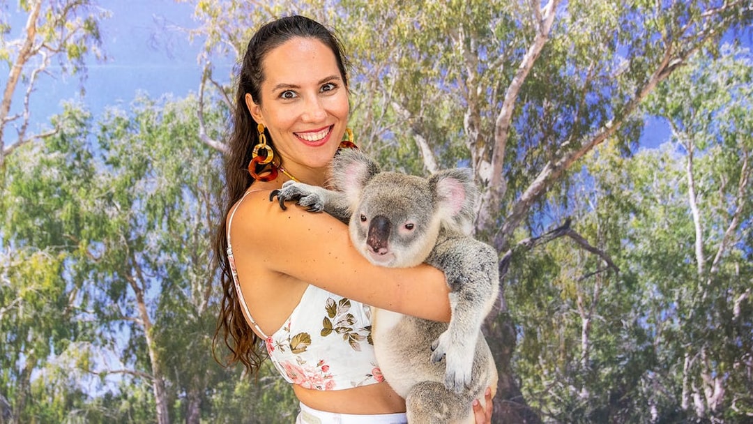 Person holding a koala at Hartley's Crocodile Adventures, surrounded by trees.