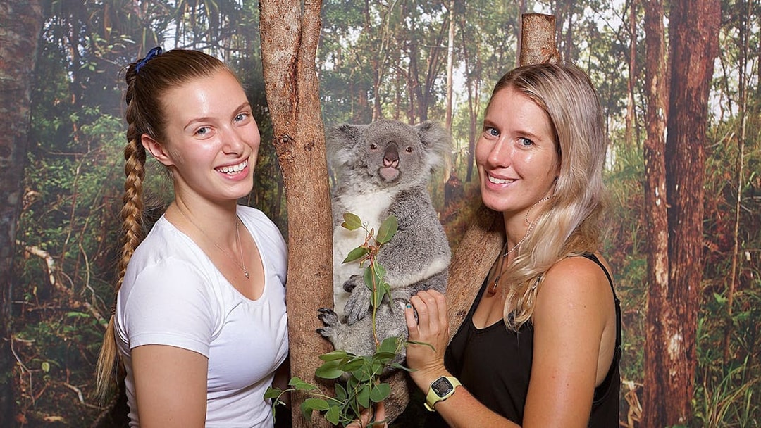Koala with visitors at Hartley's Crocodile Adventures, Australia.