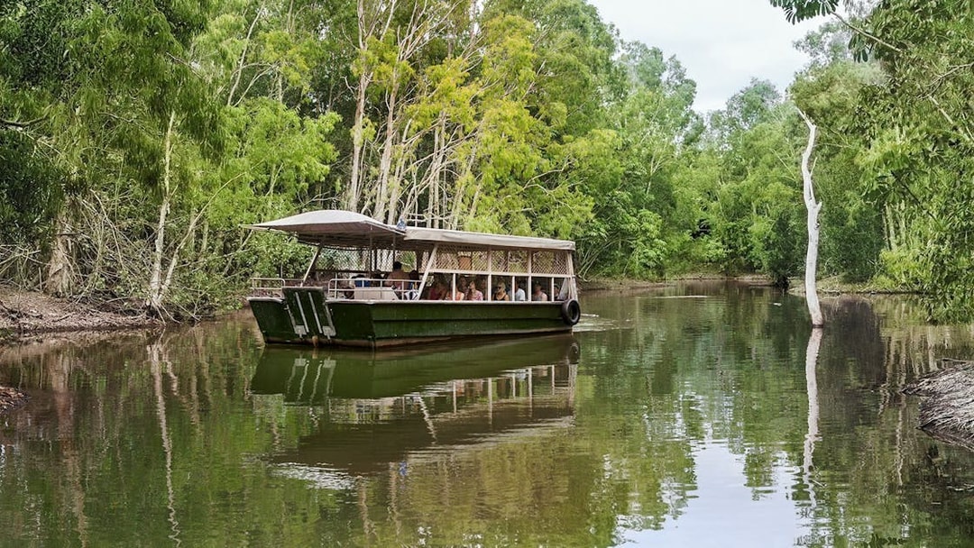 Boat tour through lush greenery at Hartley's Crocodile Adventures.