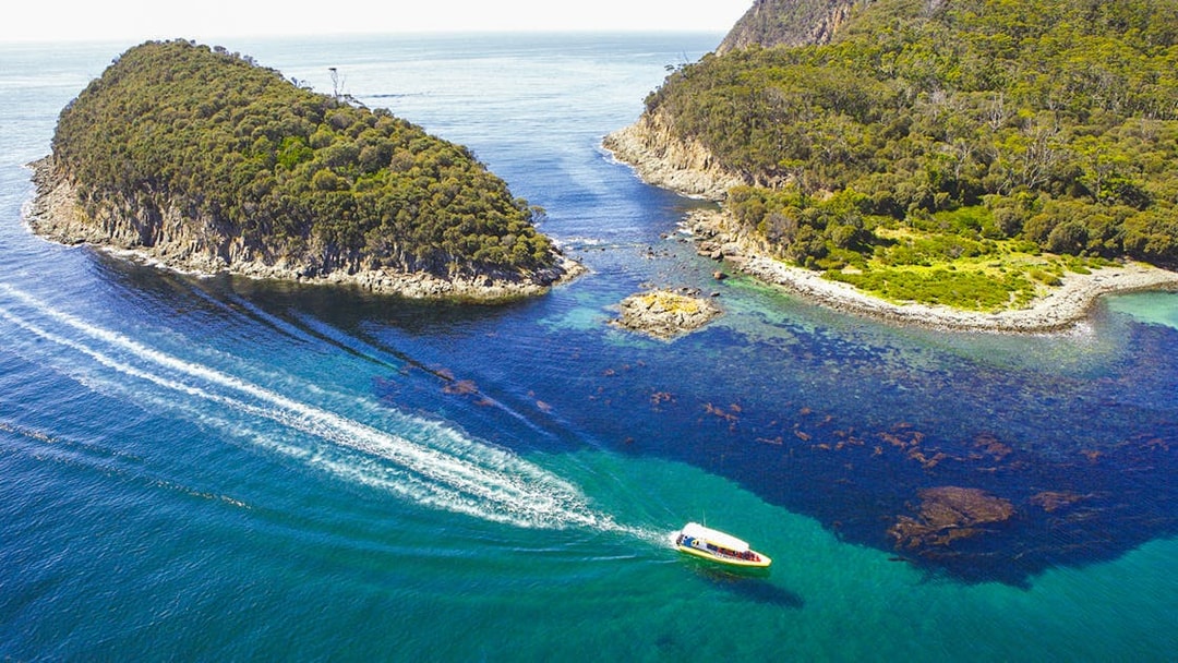 Boat cruising between lush islands on Bruny Island Wilderness Cruise, Tasmania.
