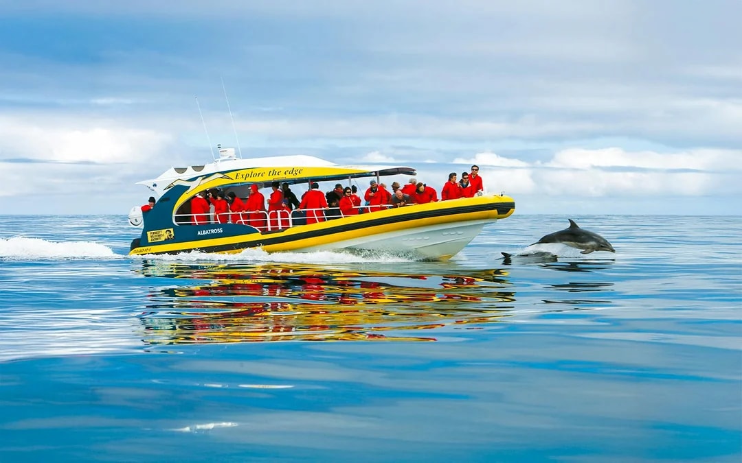 Bruny Island Wilderness Cruise Image 2