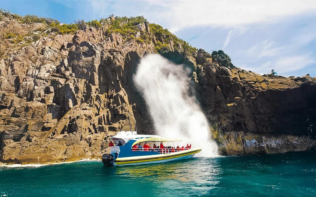 Bruny Island Wilderness Cruise Image 3