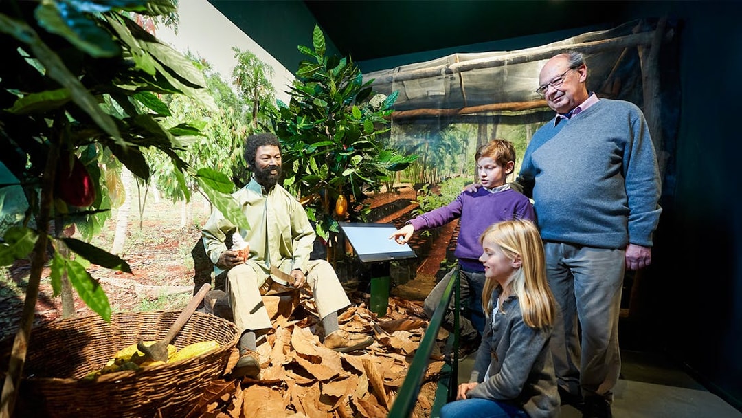 Tourists observing a cocoa plantation exhibit at Choco Story in Brussels.