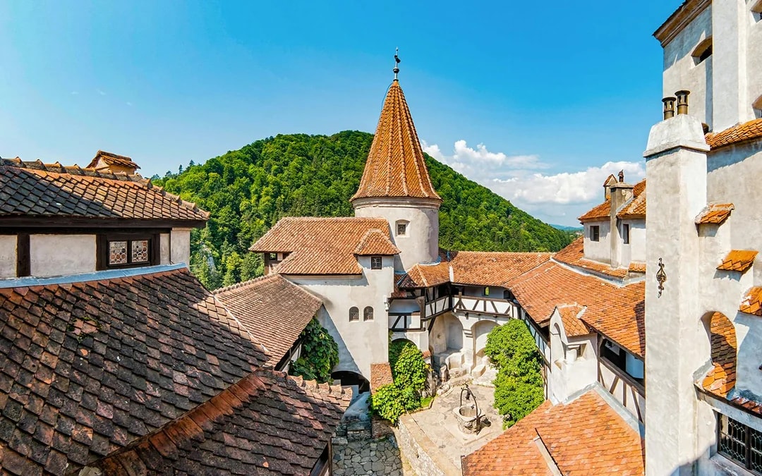 From Bucharest: Bran Castle, Peles Castle & Brasov Full-Day Guided Tour Image 2