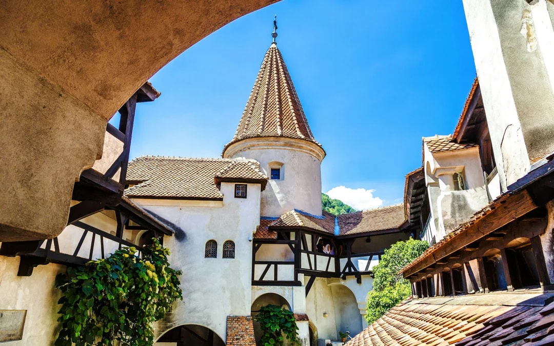 From Bucharest: Bear Sanctuary, Bran Castle & Brasov Day Tour Image 6