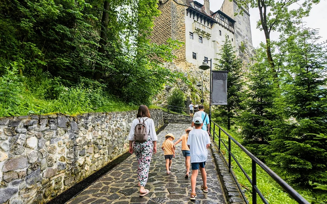 From Bucharest: Bear Sanctuary, Bran Castle & Brasov Day Tour Image 7