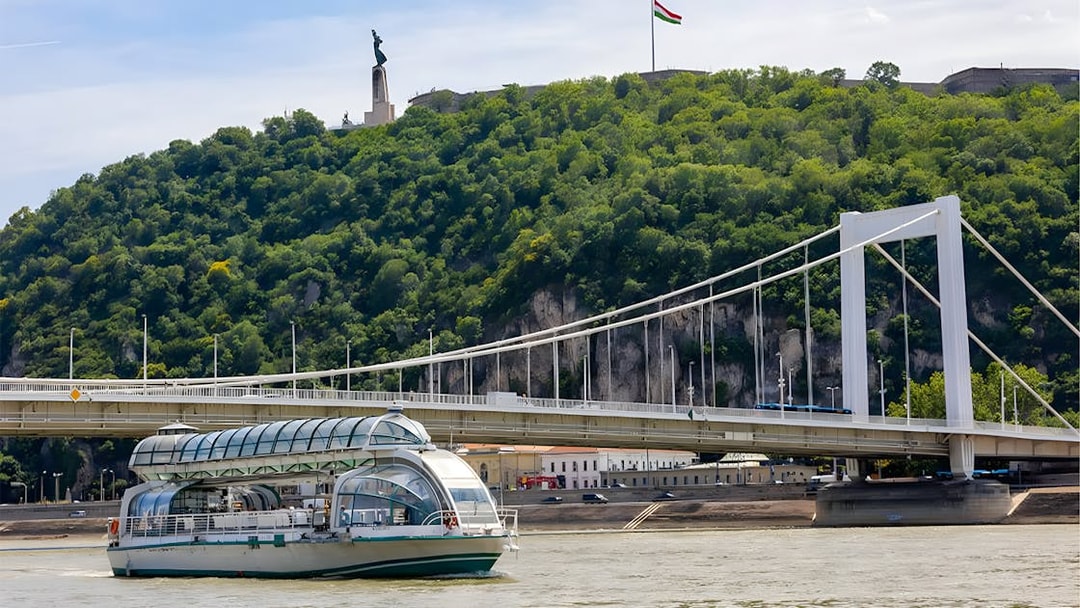 Boat cruise passing under Elisabeth Bridge in Budapest.