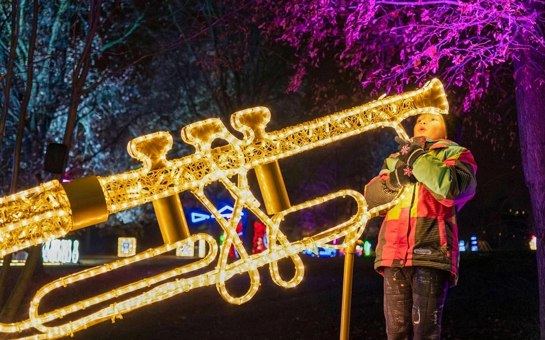Budapest: Lumina Light Park Wonderworld Entry Tickets Image 6