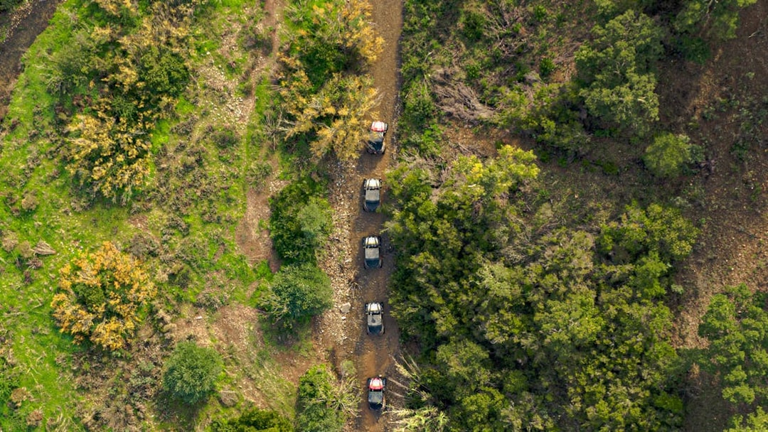 Aerial view of off-road vehicles on a dirt trail through lush greenery in Albufeira.