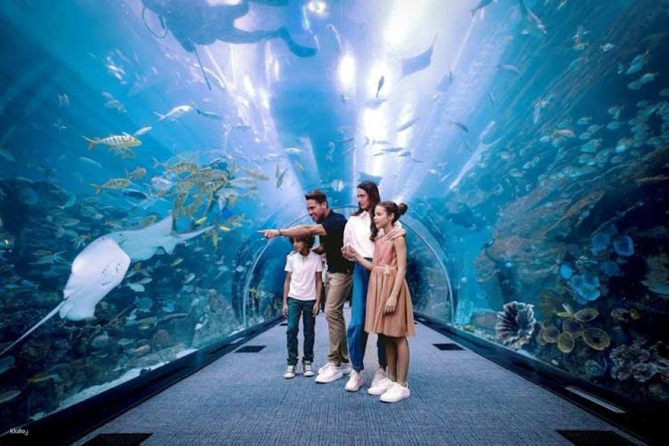 Burj Khalifa floors 124, 125 and Dubai Aquarium tickets