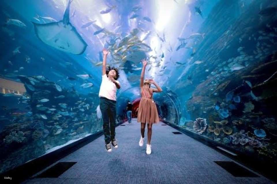 Burj Khalifa floors 124, 125 and Dubai Aquarium tickets (600257)
