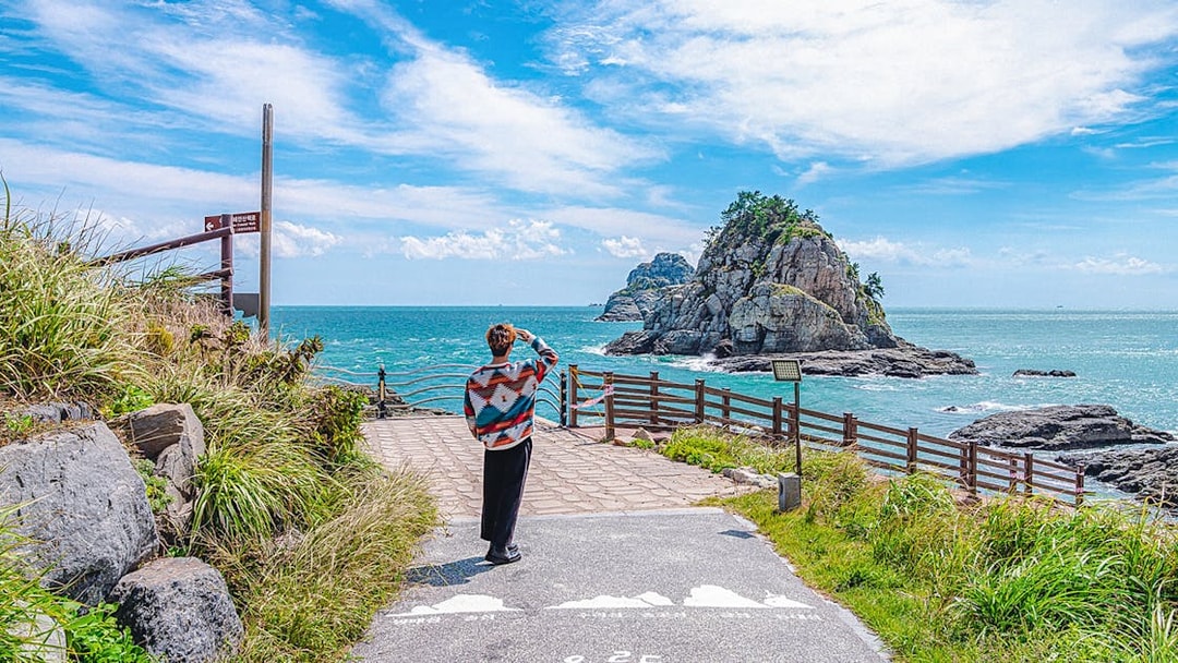 Visitor viewing rocky coastline at Blueline Park, Busan, during One Day City Tour.